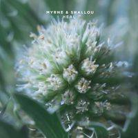 MYRNE - Heal