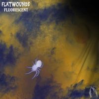 Flatwounds - Fluorescent