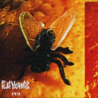 Flatwounds - In The Sun