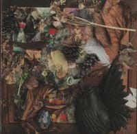Merzbow - Arrangement