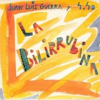 Juan Luis Guerra 4.40 - La Bilirrubina