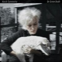 Harsh Symmetry - On​-​Screen Death