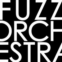 Fuzz Orchestra - Comunicato N&deg;2