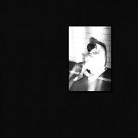 Midwife - Prayer Hands