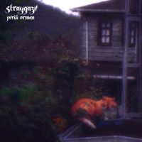 Straygaze - Perili Orman