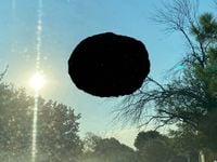 Otocephaly - Downward Fractalizing Venule Matrix and Self-Refracting Marrow Adipose Tissue Crashing Into Singularity and Rebirthing Cycles of Stars