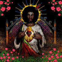 Mindless Self Indulgence - You'll Rebel to Anything (Vinyl Version)