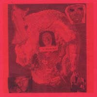 The Drin - Far Out Kicking
