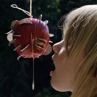 Puce Mary - The Drought
