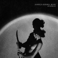 Sophia Djebel Rose - S&eacute;cheresse