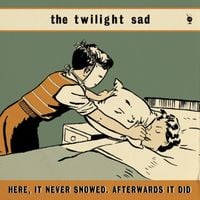 The Twilight Sad - Here, It Never Snowed. Afterwards It Did