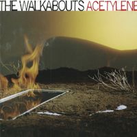 The Walkabouts - Acetylene