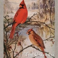 Shire Oak - The Cardinal