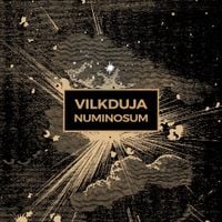 Vilkduja - Numinosum