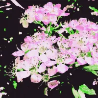 Ehtëk - eli&auml;&sect;e