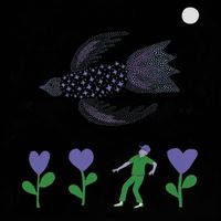 Bonnie 'Prince' Billy - Downstream