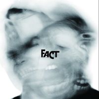 FACT - In the Blink of an Eye