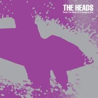 The Heads - Under the Stress of a Headlong Dive