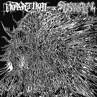 Vastum / Spectral Voice - Vastum / Spectral Voice