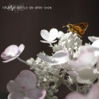 Stoney Point - To Be a Bottle on Bare Skin