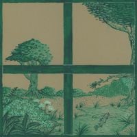 Dirty Projectors - Song Of The Earth