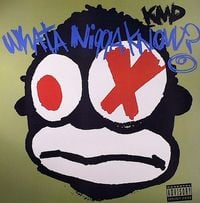 KMD - Whuts does a Nigga Know???