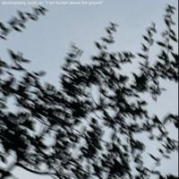S*nshine - decomposing souls, or, "i am buried above the ground"