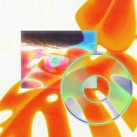 SQWR - Plants & Televisions