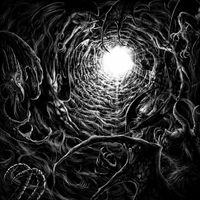 Temple Desecration - Whirlwinds of Fathomless Chaos