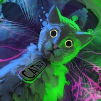 AXIMETRIK - Catnip
