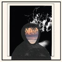 billy woods - Wasteland Embrace