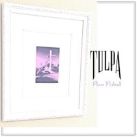 Tulpa - Plum Pinball