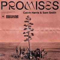 Calvin Harris & Sam Smith - Promises