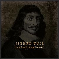 Jethro Tull - Curious Ruminant