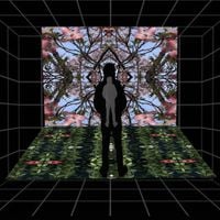 Twoleggedzoo - Introspective Refelections