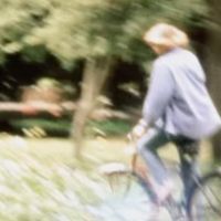 Arcy Drive - Oak Tree (Daydream)