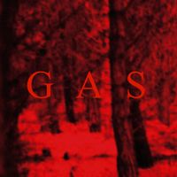 Wolfgang Voigt - Gas
