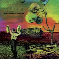 Nurse with Wound - Healsgebedda Budgerigar