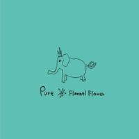 Flannel Flower - Pure
