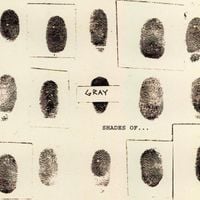 Gray - Shades of...