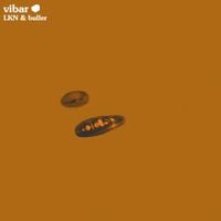 LKN - Vibar