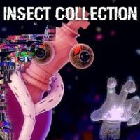 XTRATUNA - INSECT COLLECTION