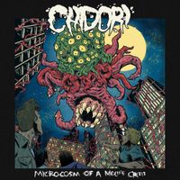 Chidori - Microcosm Of A Midlife Crisis