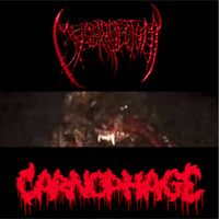 Myocardectomy - Carnophage