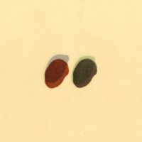 Salvapantallas - Salvapantallas