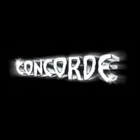 Sr. Presidente - Concorde