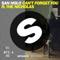 San Holo - Can't Forget You