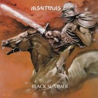 Nightwing - Black Summer