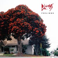 Bloods - Feelings