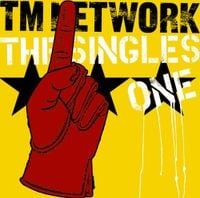 TM NETWORK - TM NETWORK THE SINGLES 1